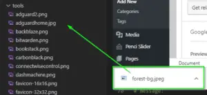 the forest config file