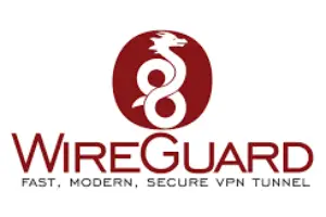 How to install WireGuard VPN Addon in Home Assistant with custom domain name