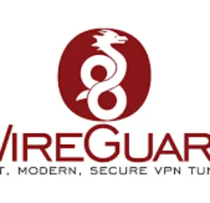 How to install WireGuard VPN Addon in Home Assistant with custom domain name