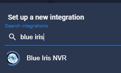 blue iris server